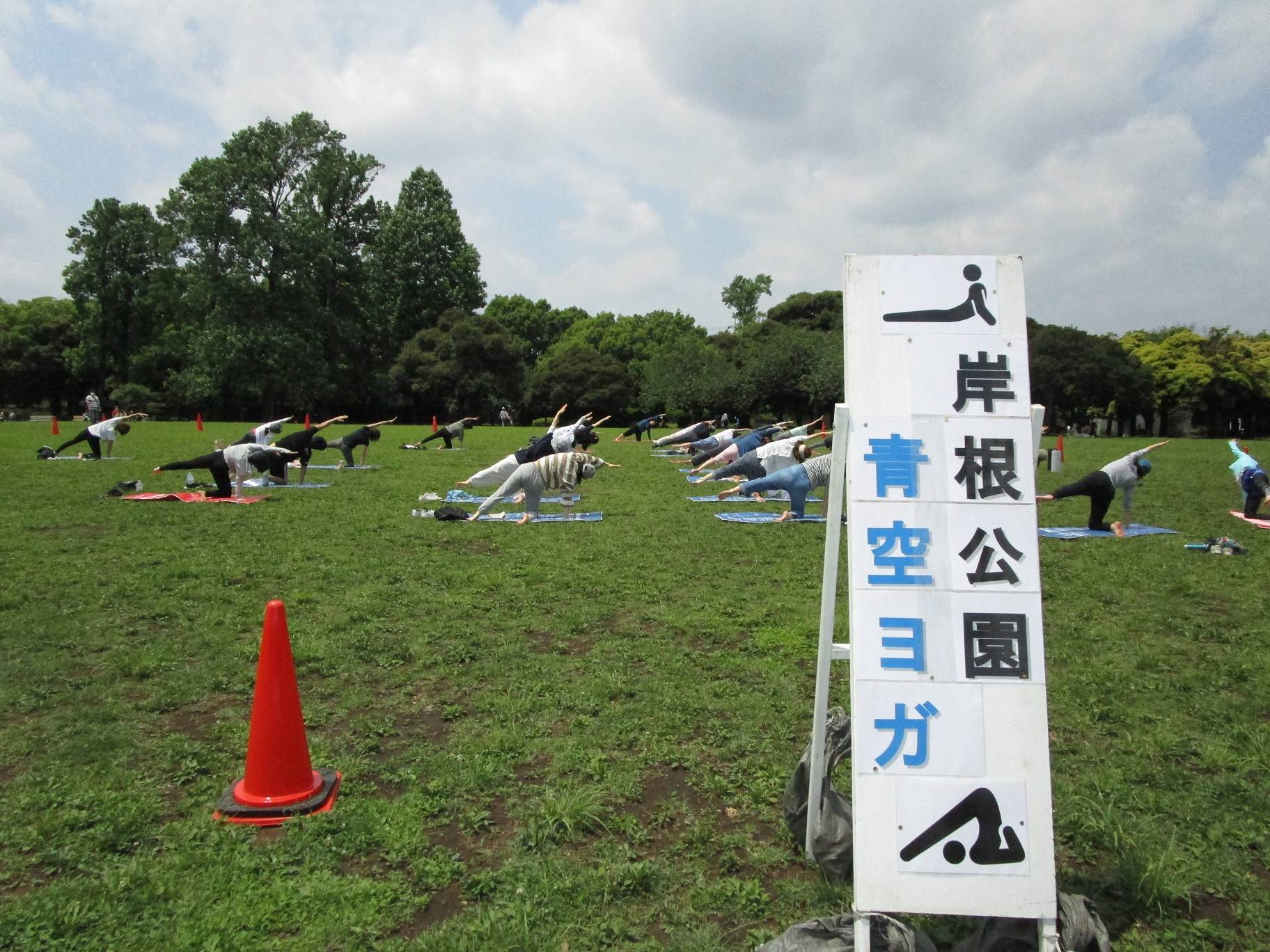 青空ヨガ (4).jpg