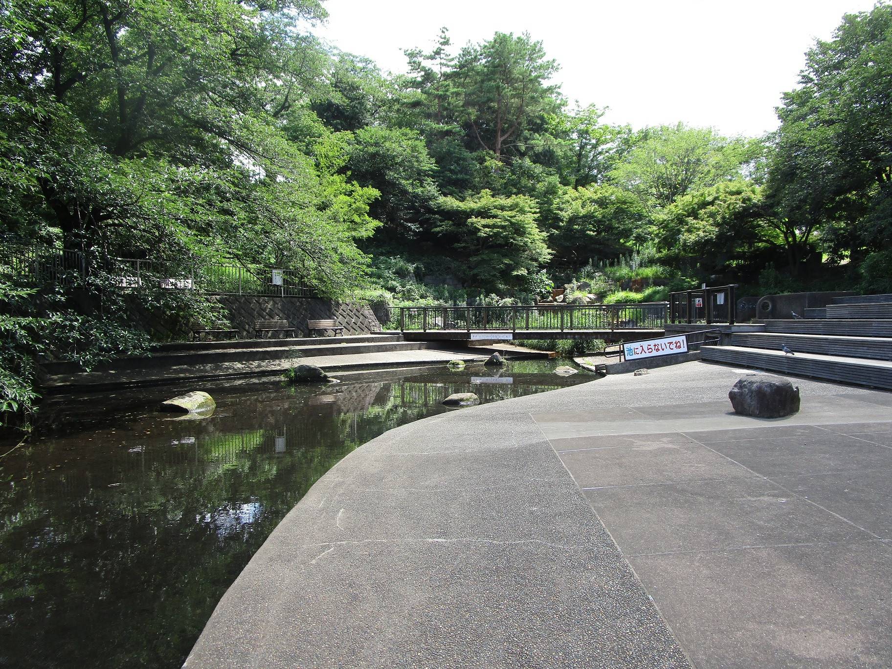 梅雨明け (3).jpg