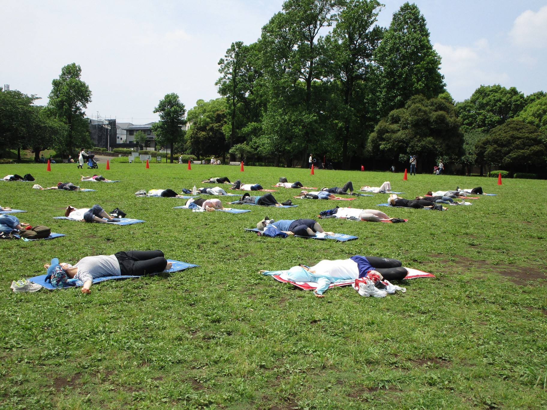 青空ヨガ (3).jpg