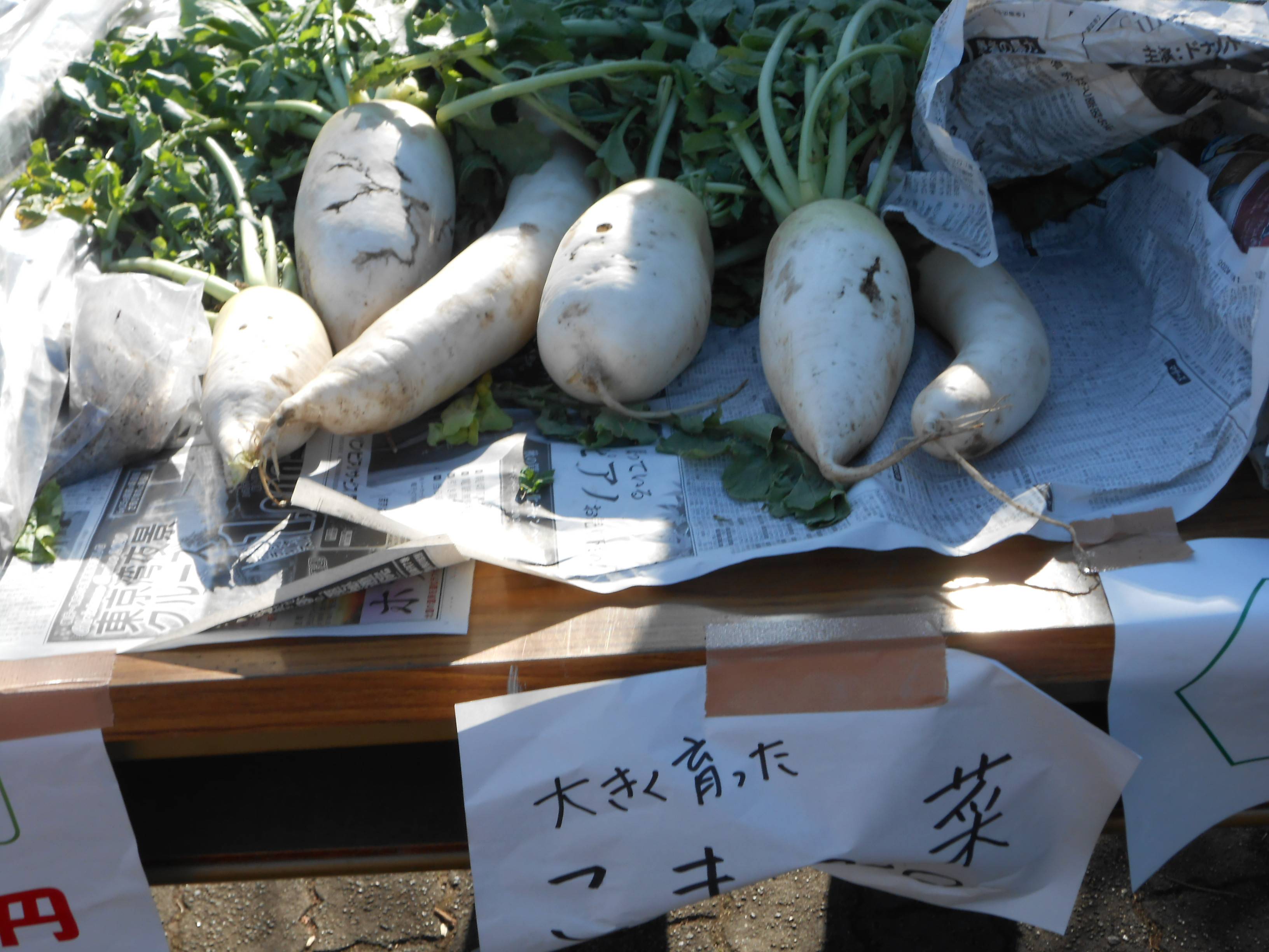 DSCN0759.jpg