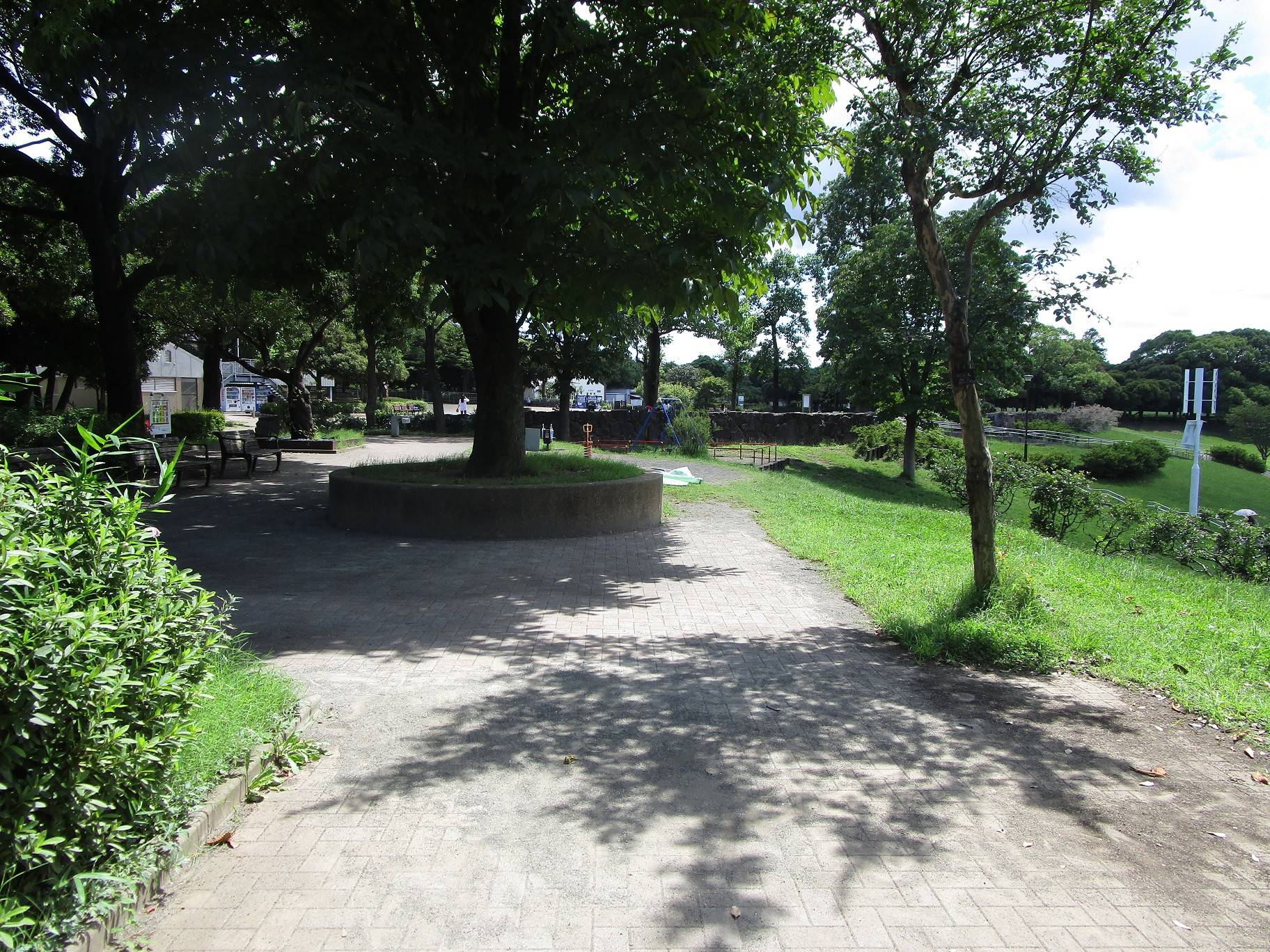 梅雨明け (2).jpg