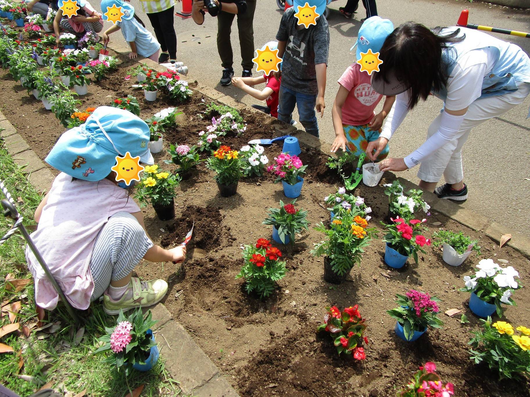 春の花植え 6月3日 ブログ 岸根公園公式サイト 公益財団法人 横浜市緑の協会 春の花植え 6月3日 ブログ 岸根公園公式サイト 公益財団法人 横浜市緑の協会