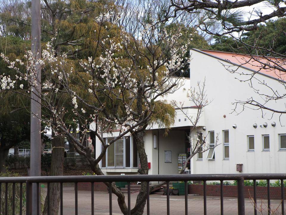 管理センターの花 (2).jpg