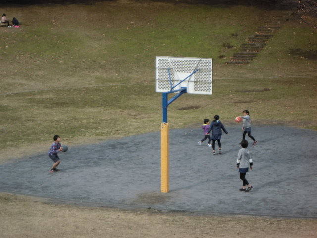 CIMG2313.jpg