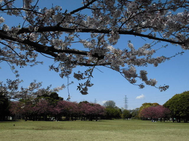 CIMG2561.jpg