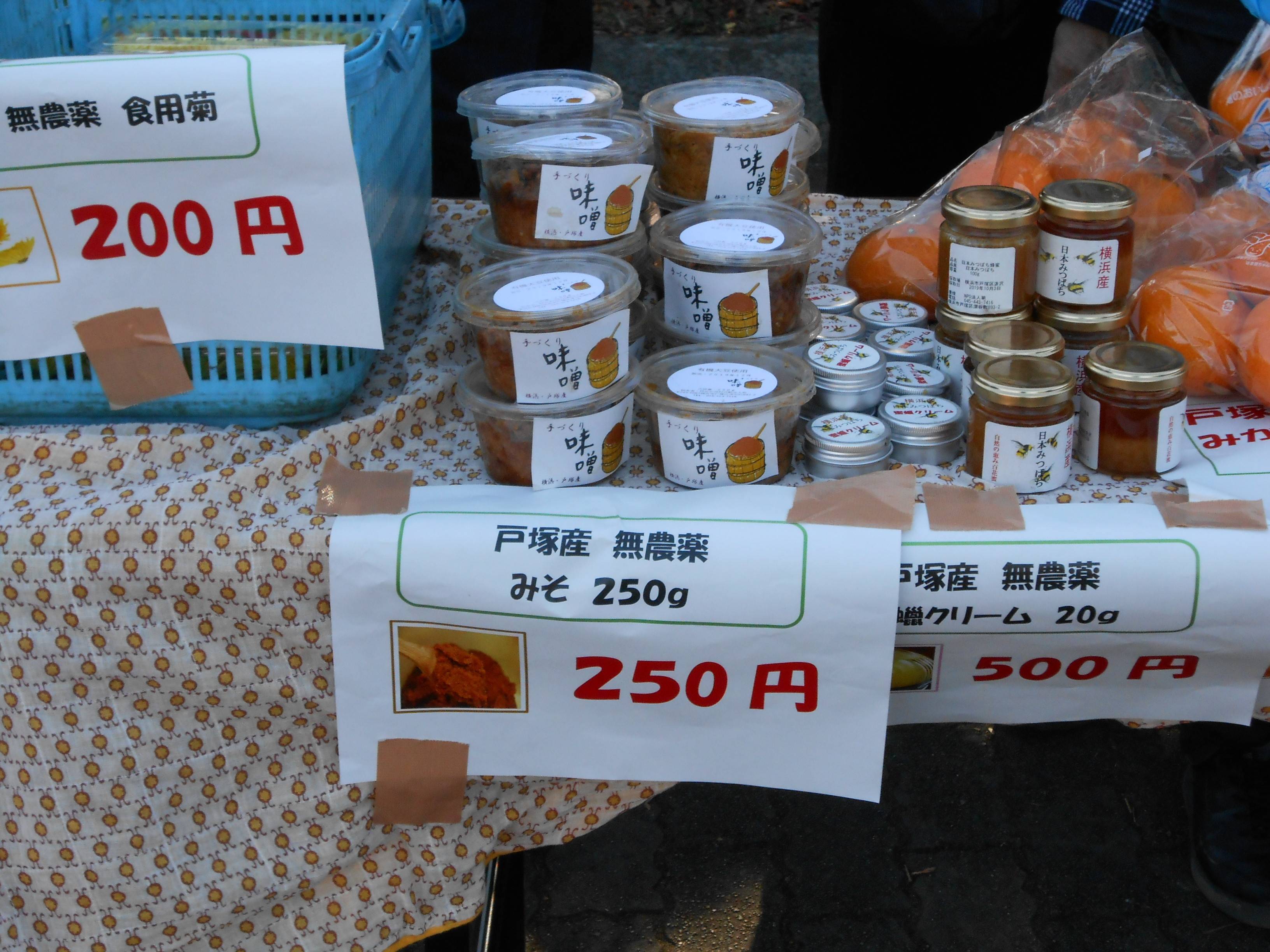 DSCN0756.jpg