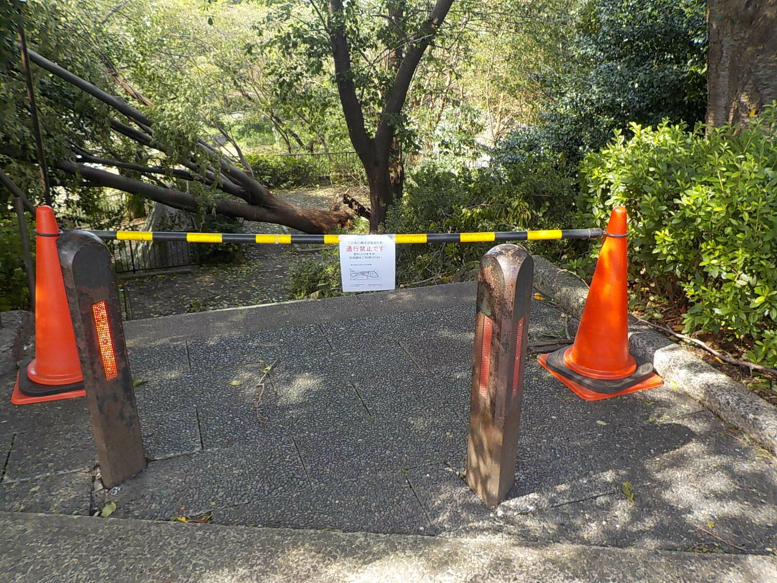 DSCN4008.jpg