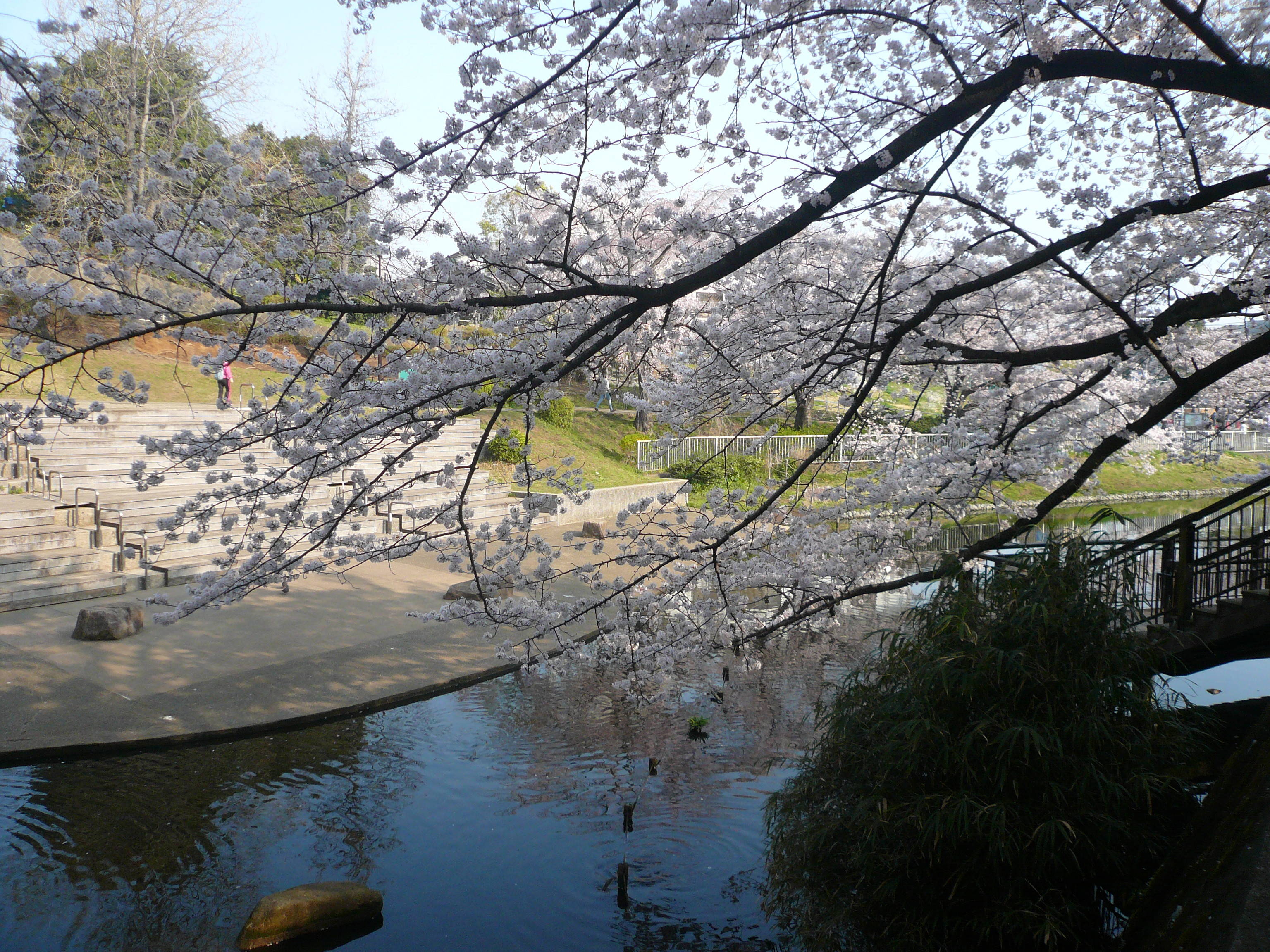 P1090578.jpg