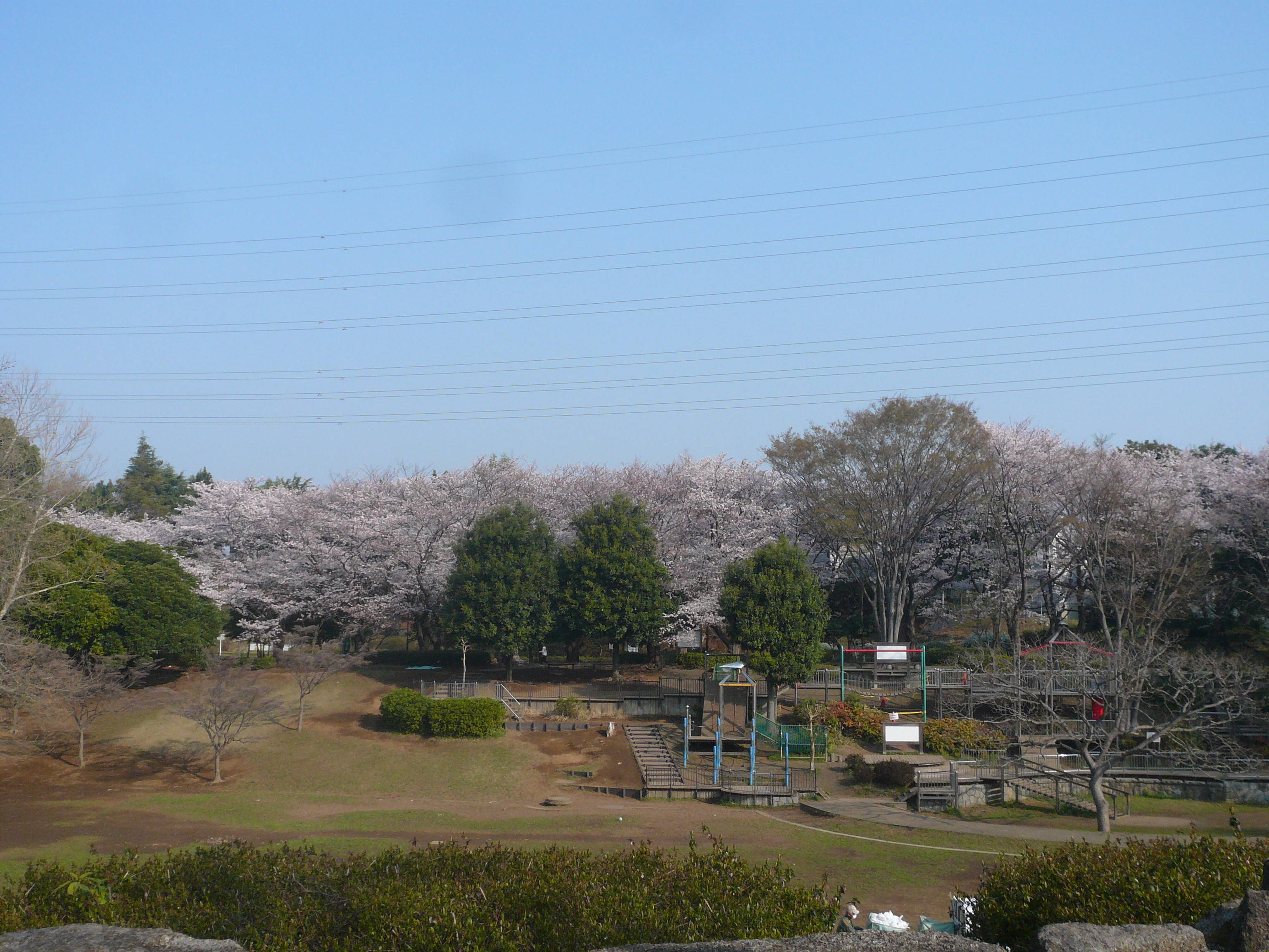 P1090583.jpg