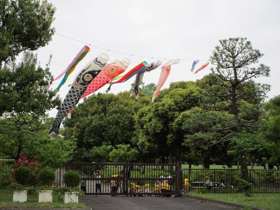 鯉のぼり (2).jpg