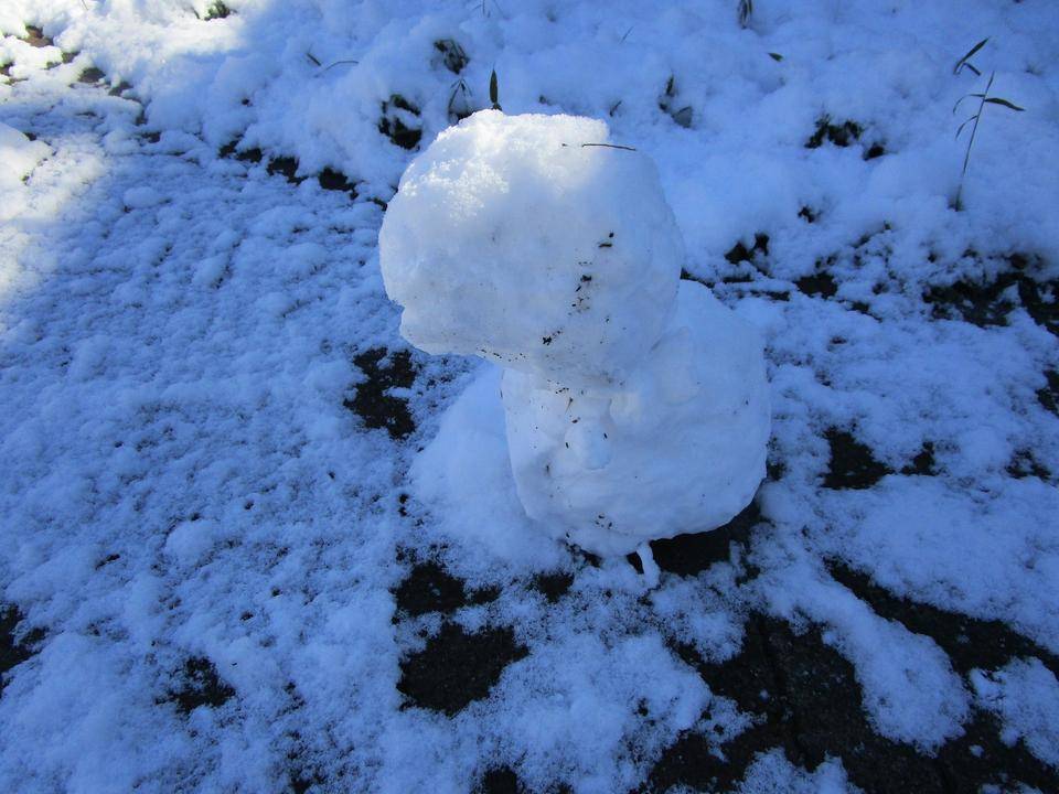 雪ダルマ (7).jpg