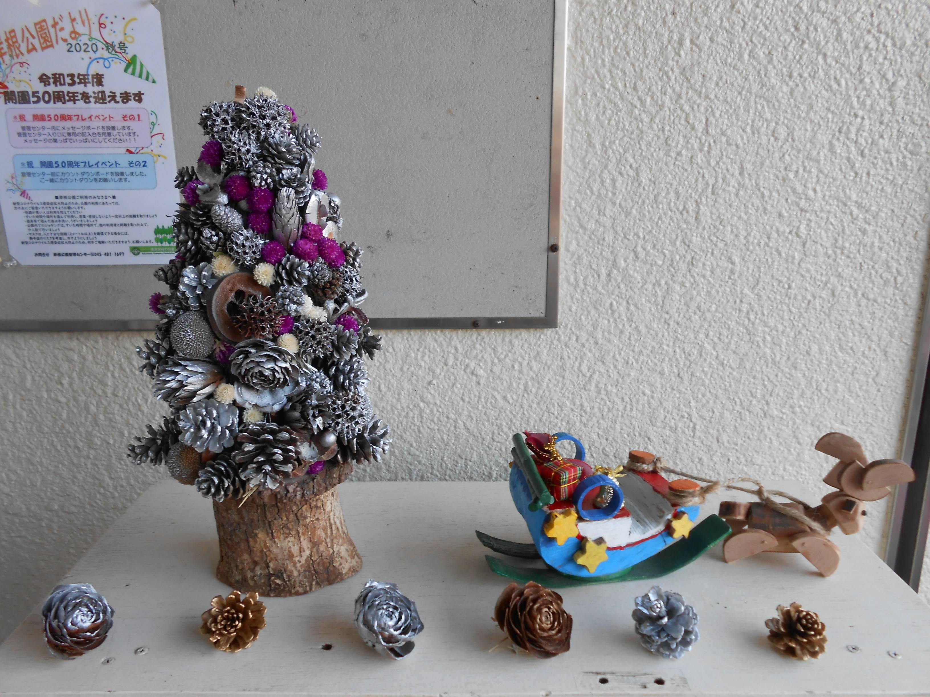 DSCN1098.jpg