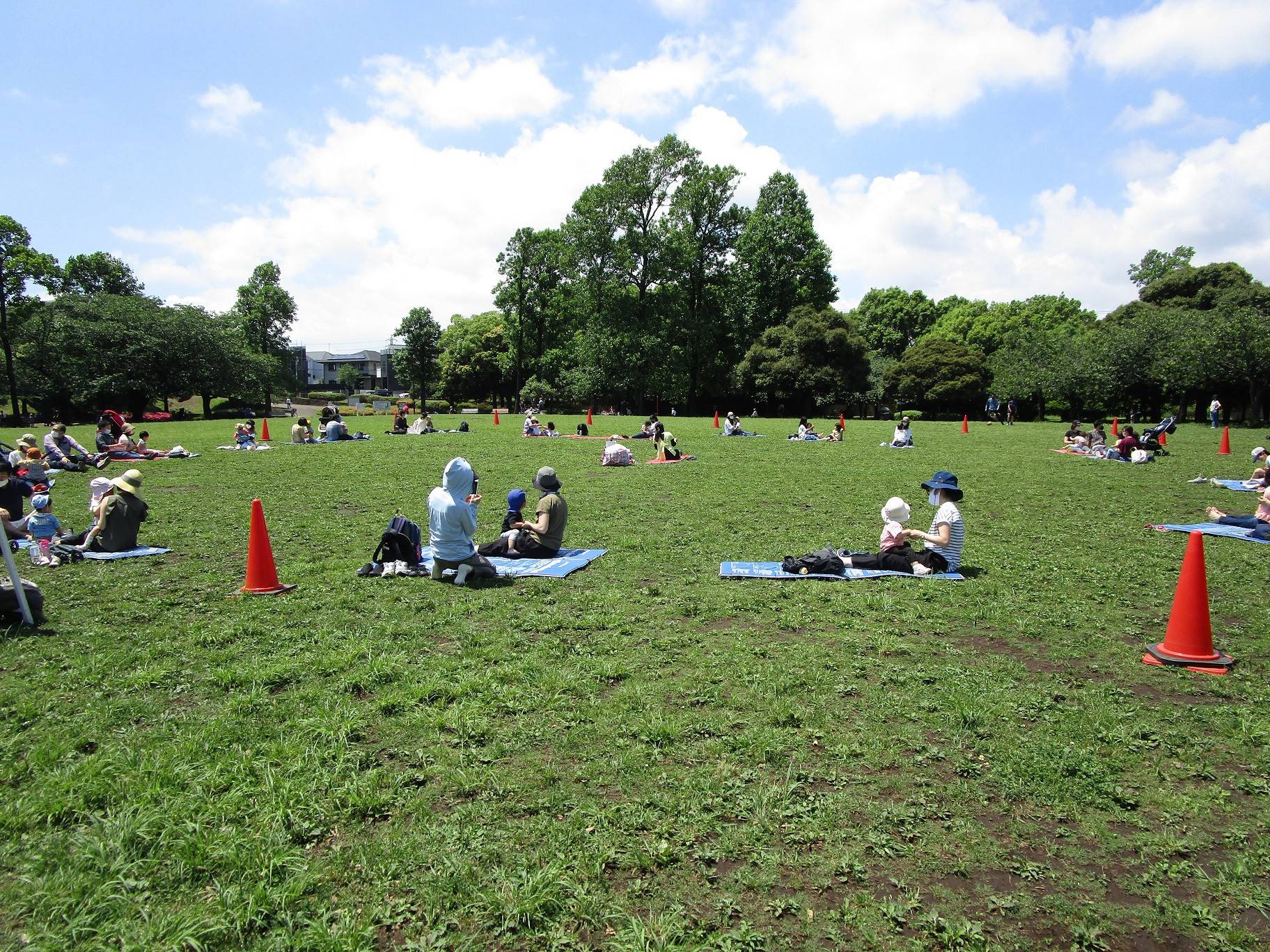 あおぞら親子体操教室 (1).jpg