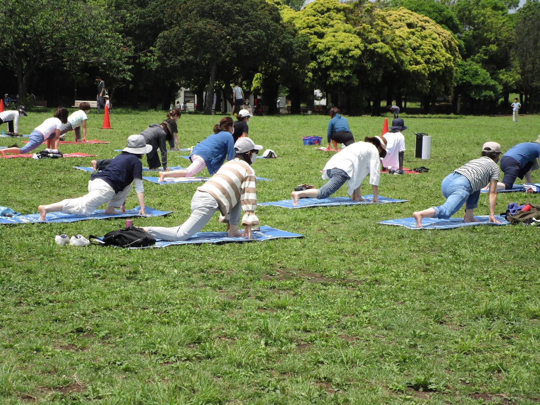 青空ヨガ (2).jpg