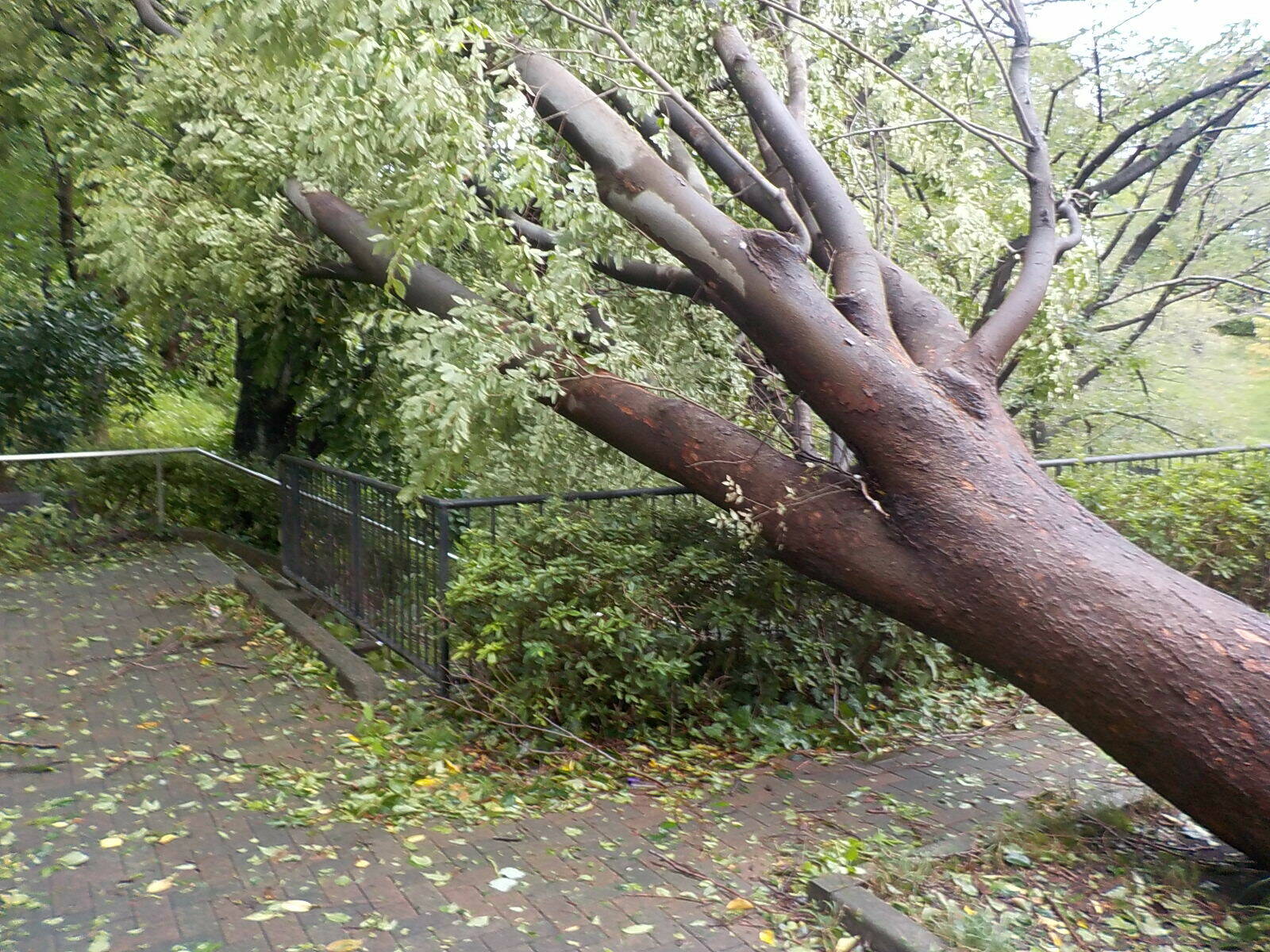 DSCN3933.jpg