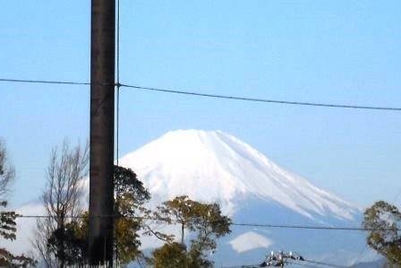 「愛犬のマナー教室と動物紙芝居」の写真