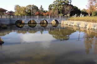 俣野公園の池　大掃除編