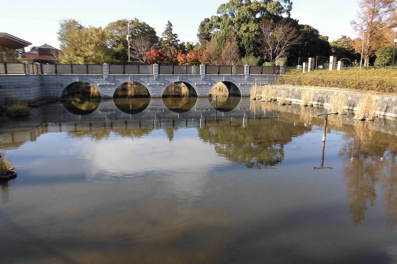俣野公園の池の写真