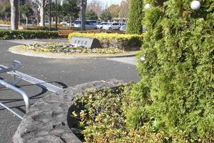 エントランスのクリスマスツリー　その２