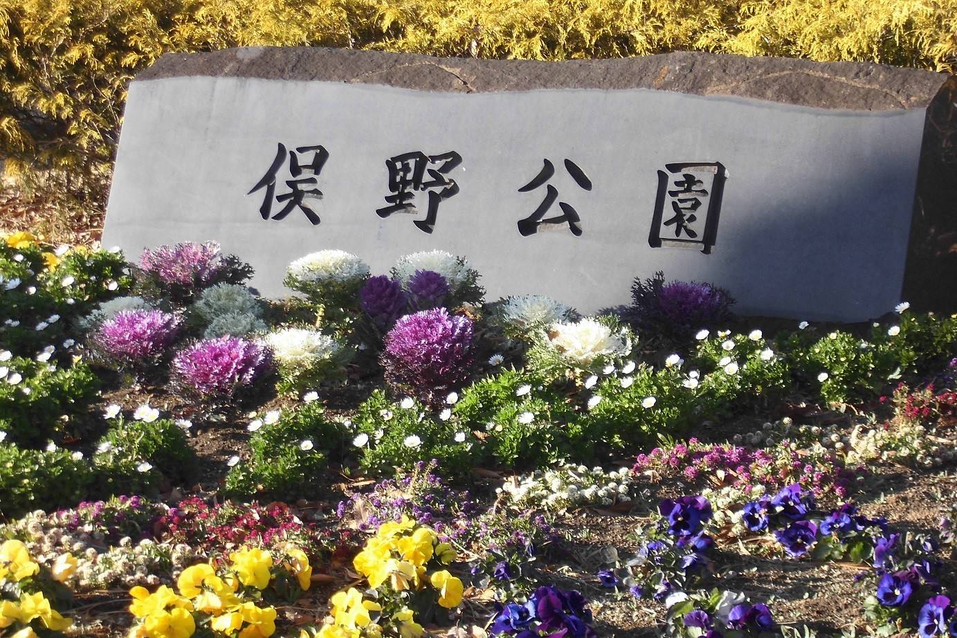 また、またの公園への写真