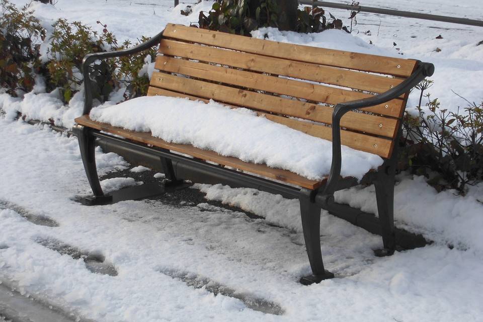 1月の大雪の写真
