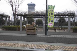 ２月のプレイパーク