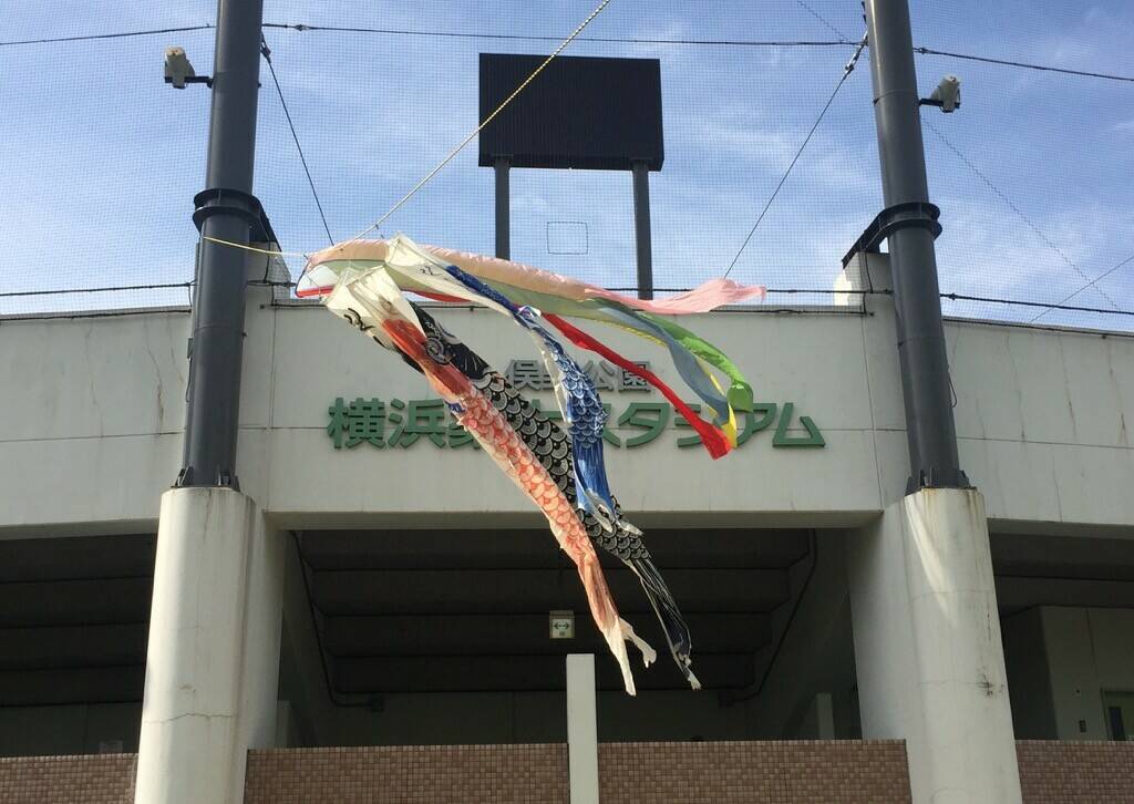俣野公園の端午の節句の写真