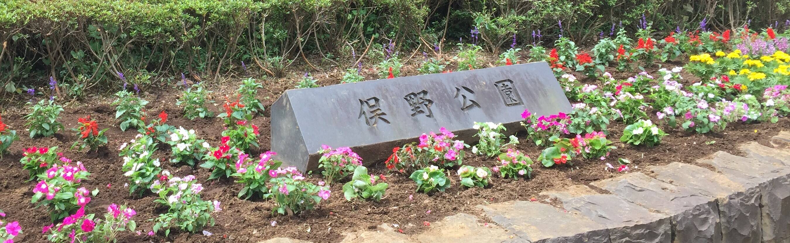 可愛い花壇ができましたの写真