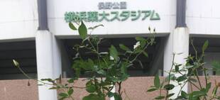 後半戦も元気に行ってみよ～～