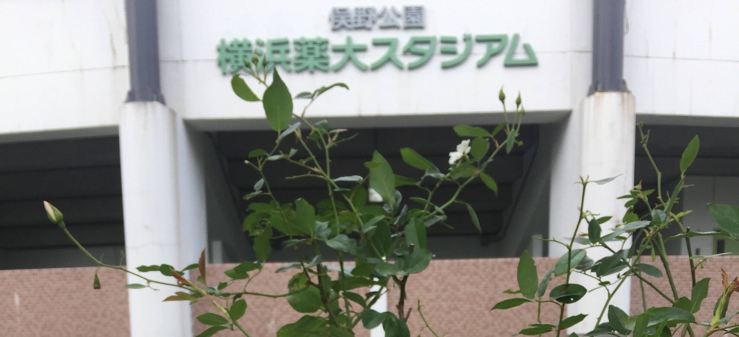 後半戦も元気に行ってみよ~~の写真