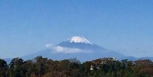 11月の歩こう会は・・・