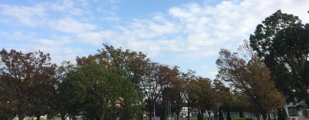 大会でスタートの11月の写真