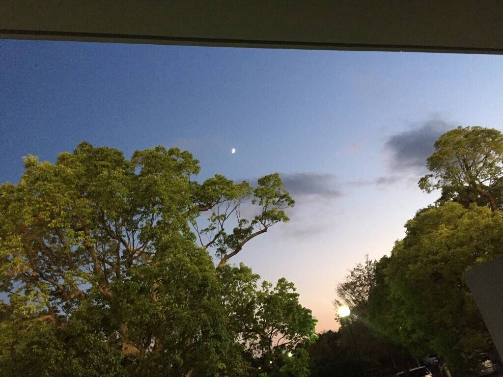 夕映えの富士の写真