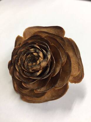 シダーローズを待ちわびて