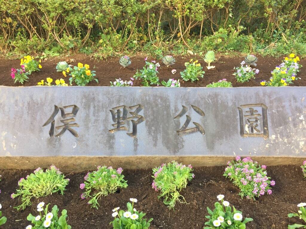 冬に向かっての写真