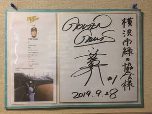 リニューアルしました