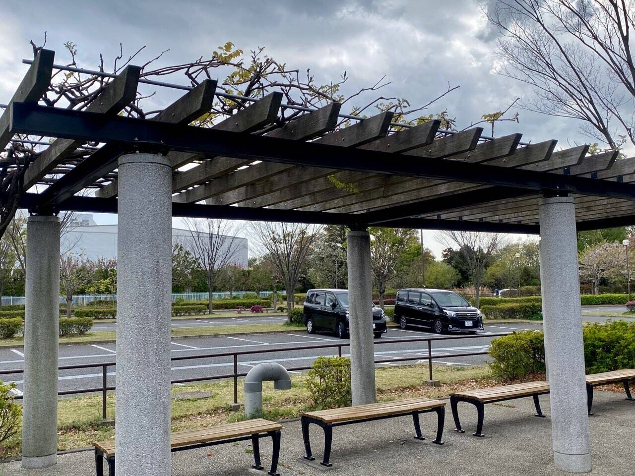 藤棚日記１の写真