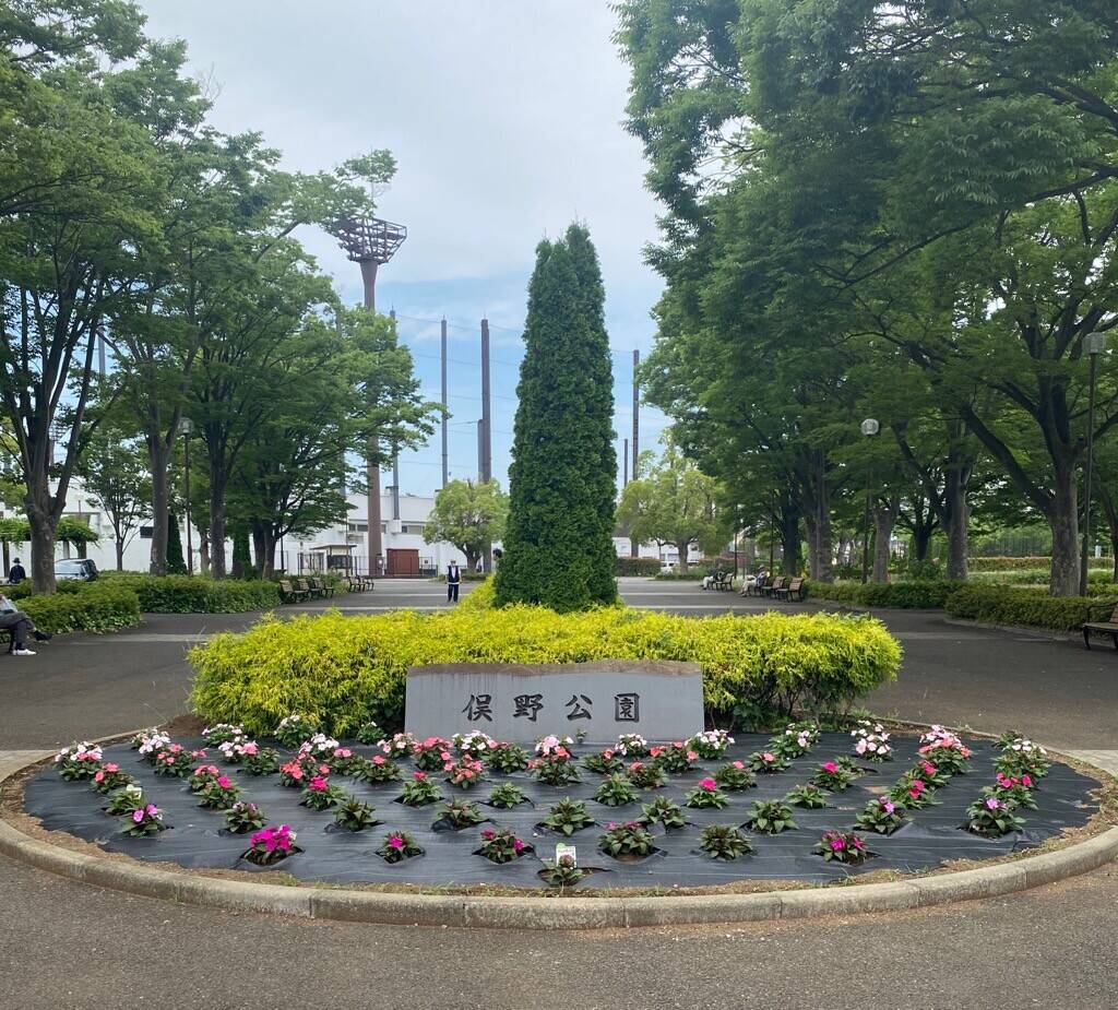花壇の植え替えの写真
