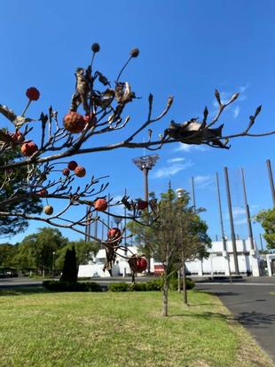 今年度、後半スタートしました！