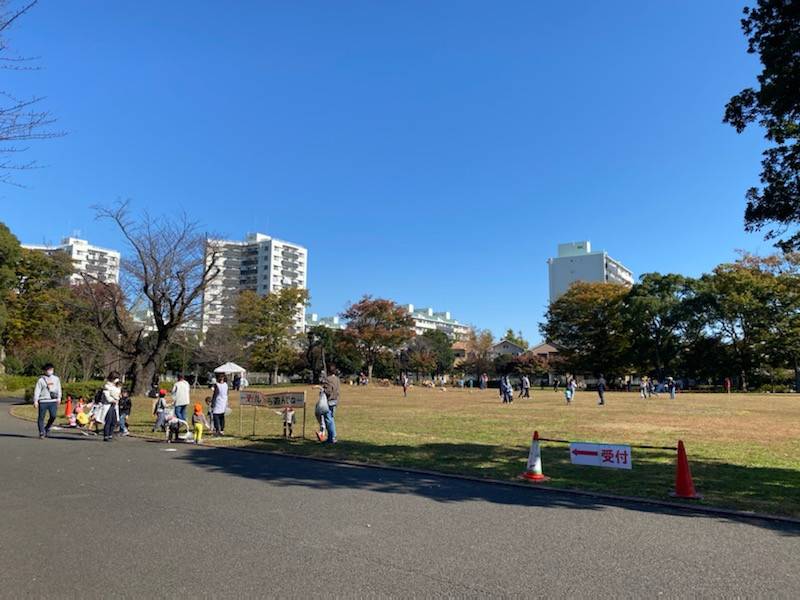 プレイパーク再開!の写真