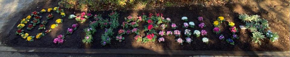 「MATANO P. 」?!花壇の写真