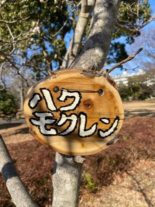 春はそこまで来ています