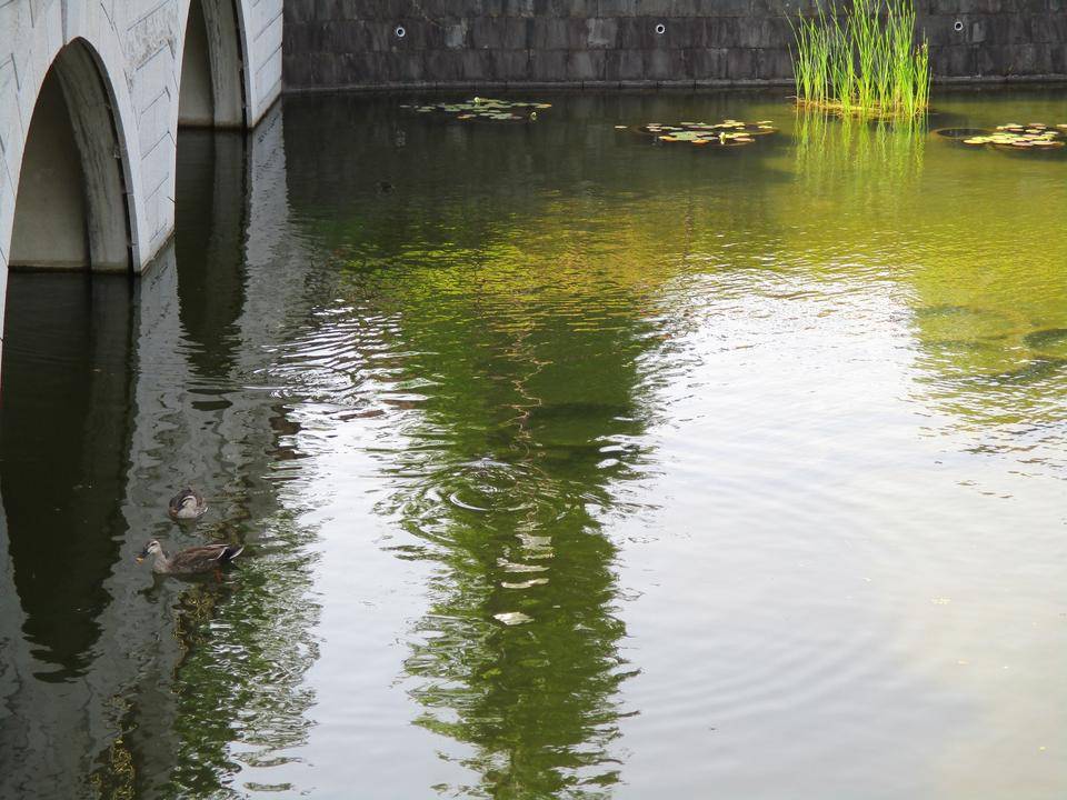 池 情報の写真