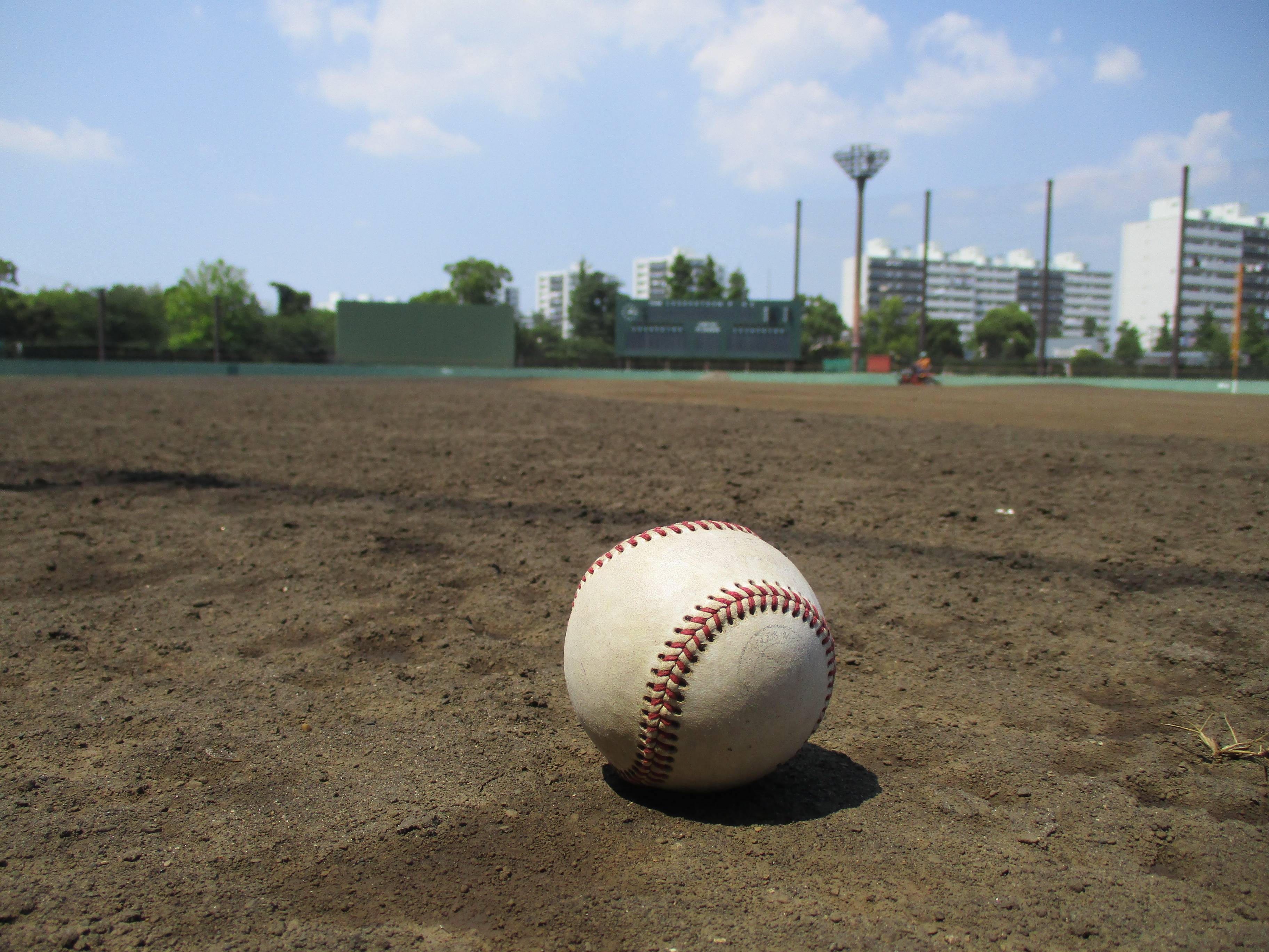俣野公園だより 第1号(令和3年7月) の写真