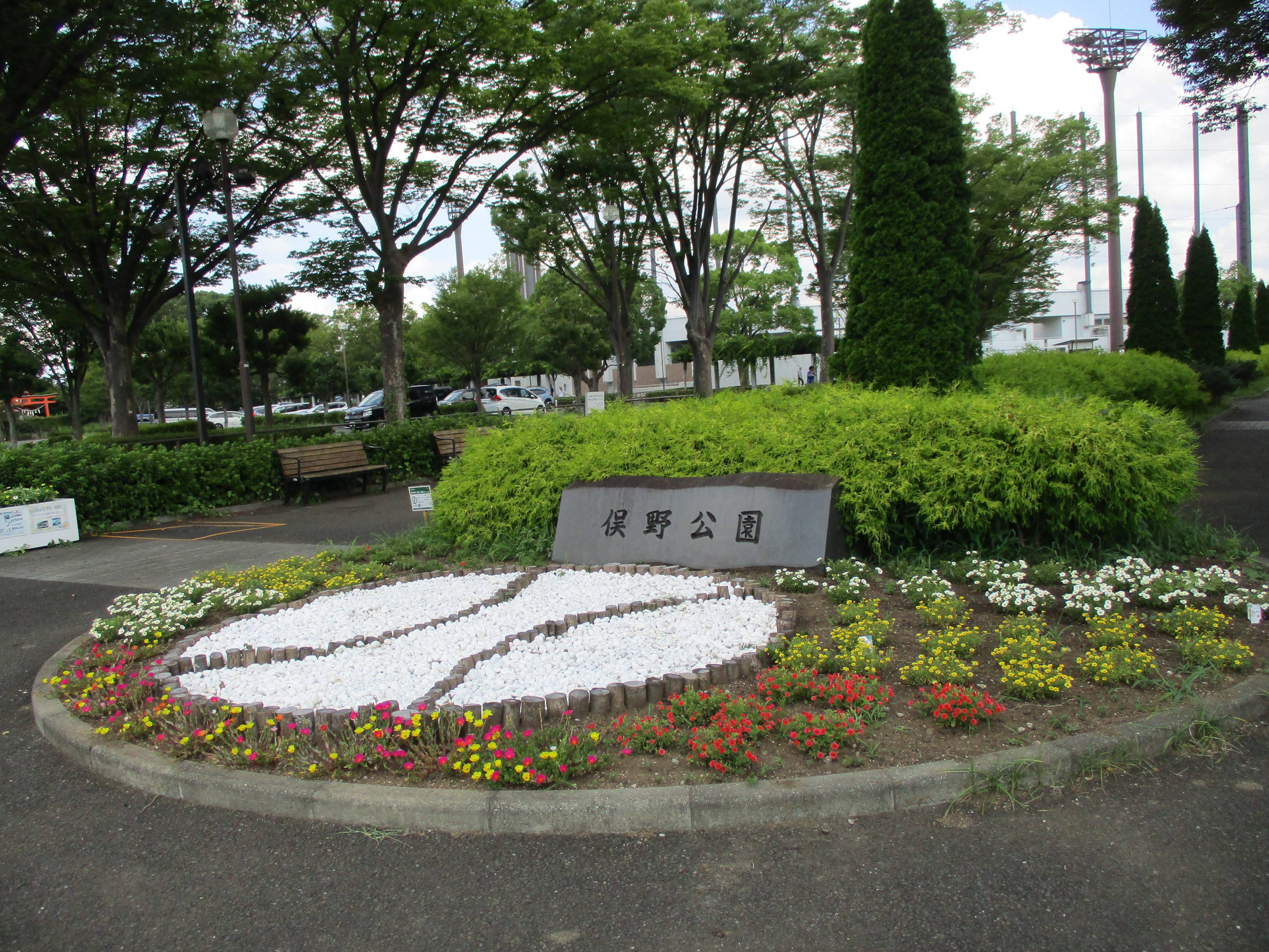 いつもと同じ日の写真