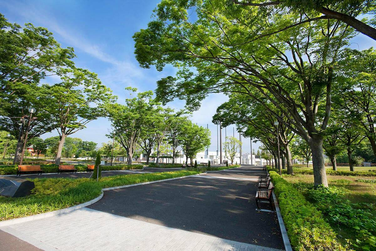 俣野公園公式サイト 公益財団法人 横浜市緑の協会