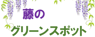 藤棚日記 8(令和3年)