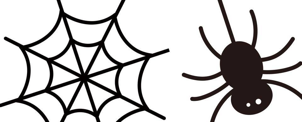 🕷くもの巣あそび🕷の写真