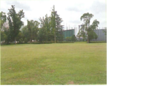 愛犬マナー教室