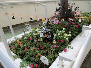 里山ガーデンフェスタ 再利用花壇